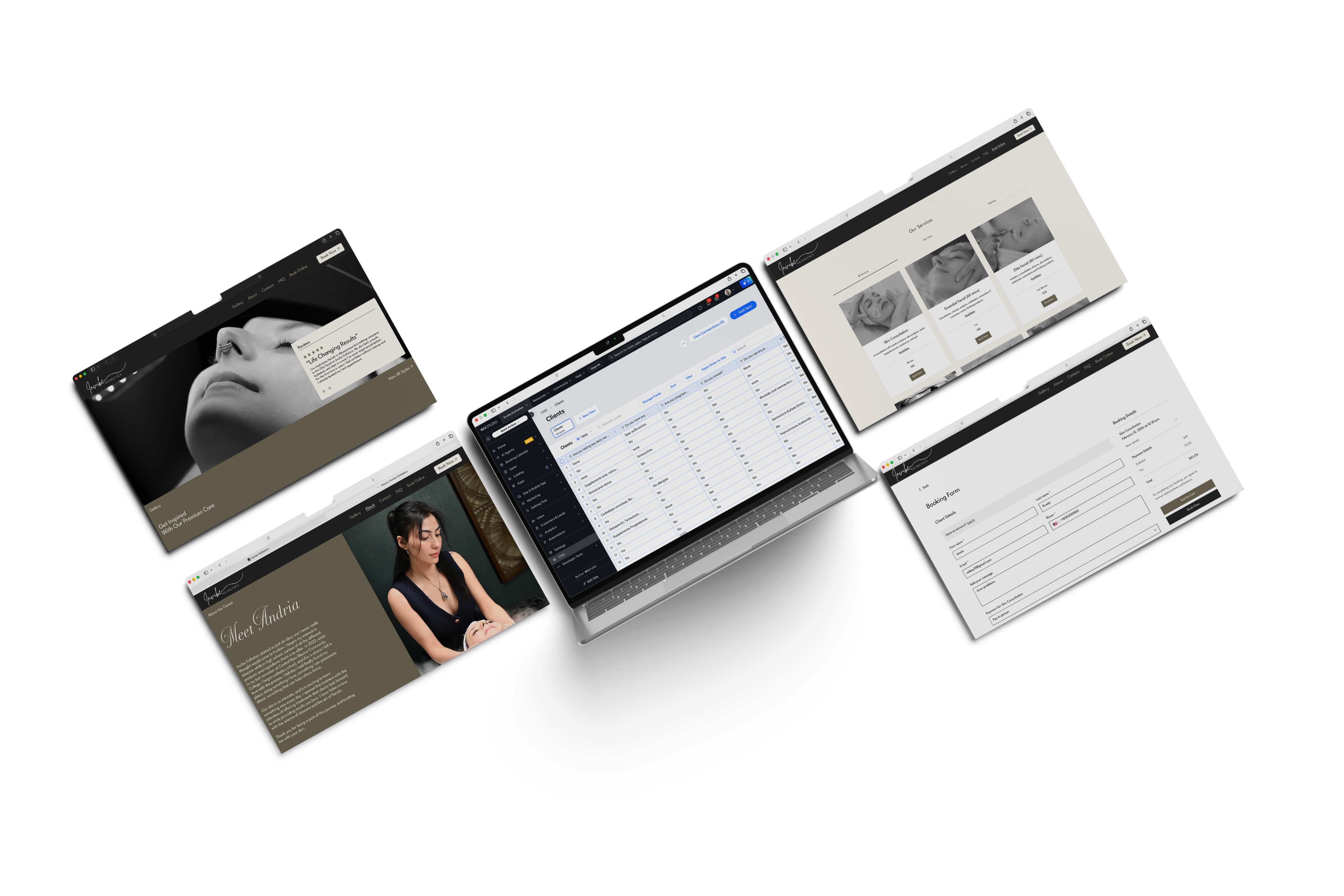 Invibe Esthetics: client management dashboard, services pages, professional intake form, and schedule your service.